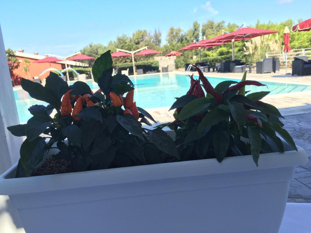 Club Esse Sporting Hotel Stintino Exterior photo